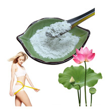 Lotus Leaf Extract Powder 98% Nuciferine with Weight Loss Effect